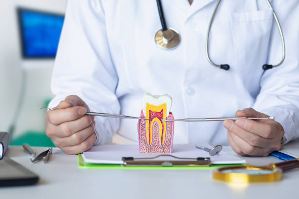 Best Holiday Emergency Dentist in Port St John, FL